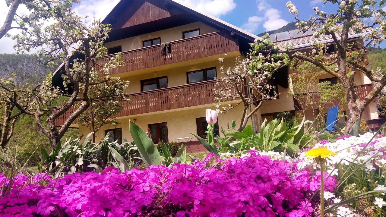 Apartments Arh Bohinj Exterior photo